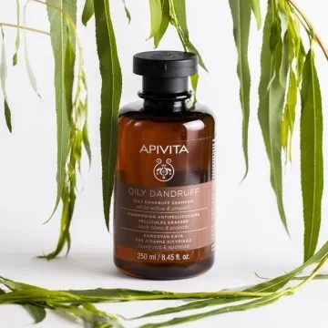 Apivita – Anti-Dandruff Shampoo (Oily Dandruff) Apivita - 1